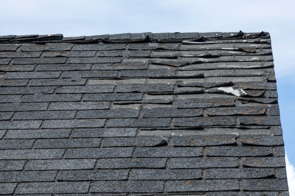 granule loss-peak of roof with damaged shingles